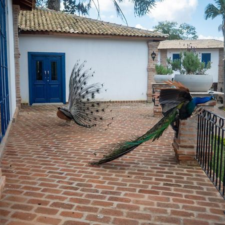 Hotel Fazenda Sao Silvano Morungaba Extérieur photo
