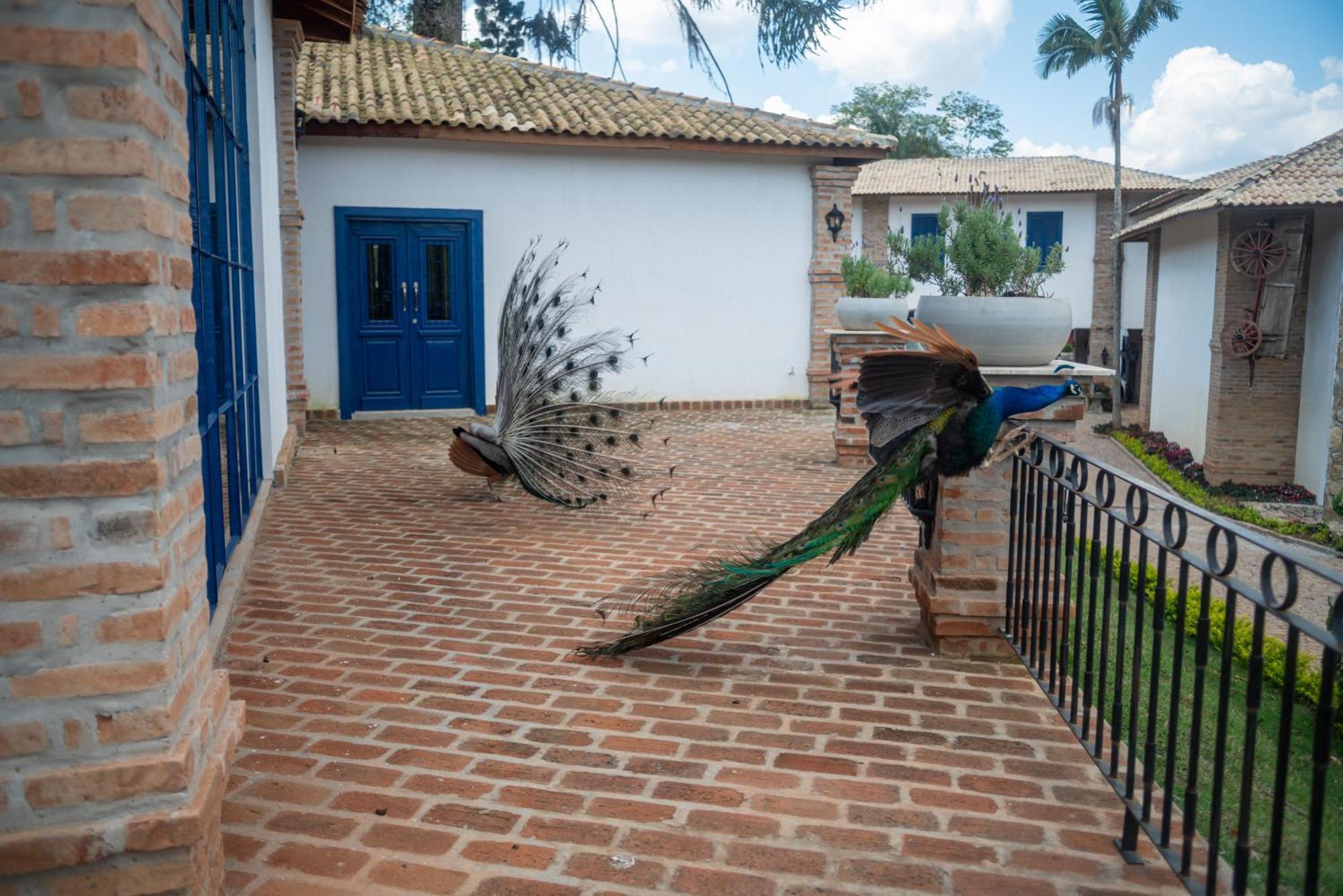Hotel Fazenda Sao Silvano Morungaba Extérieur photo