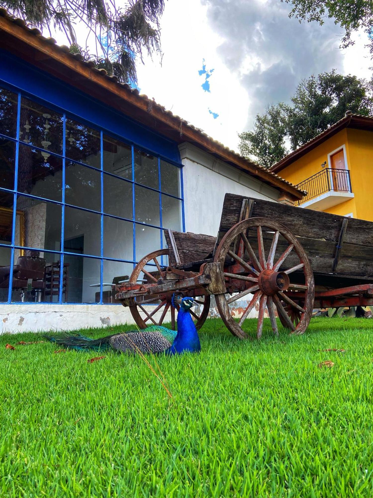 Hotel Fazenda Sao Silvano Morungaba Extérieur photo