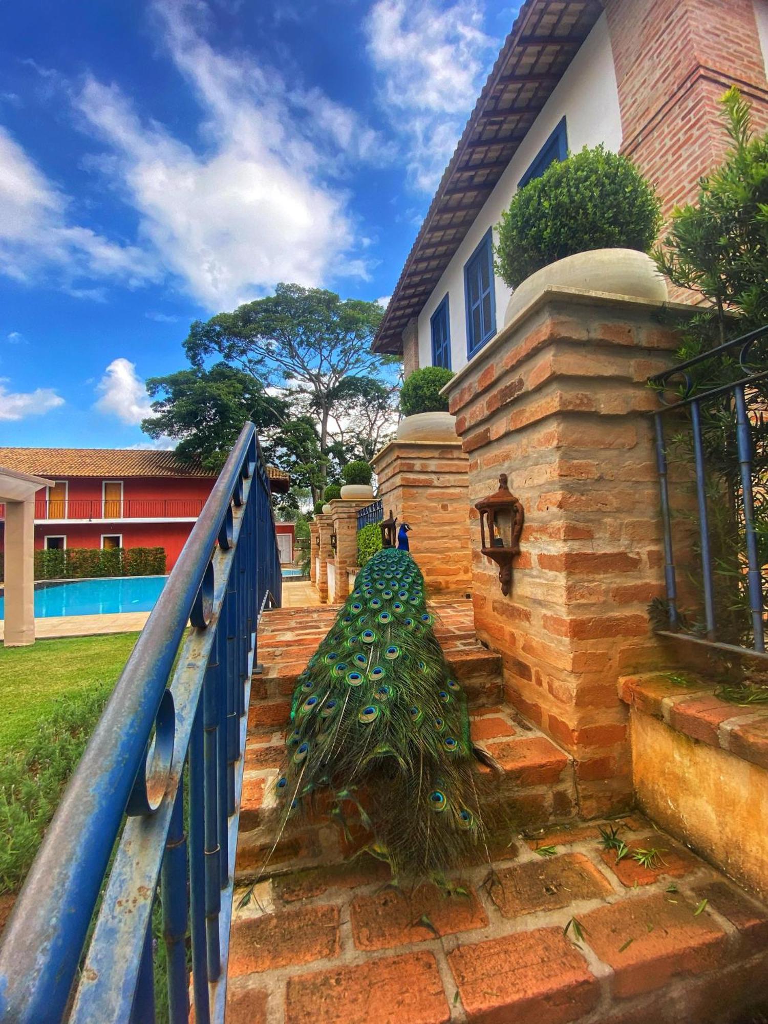 Hotel Fazenda Sao Silvano Morungaba Extérieur photo